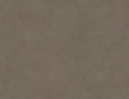 Plaster Ash